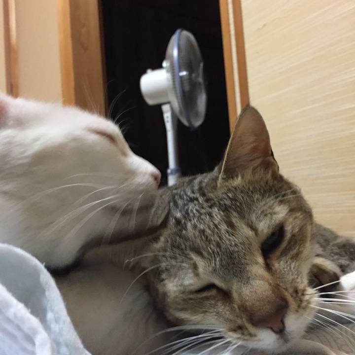 E3f17c03 f520 406d b48c 8fcd3d2ad3b9