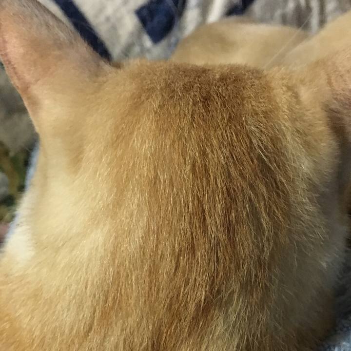 E3f1f60c f779 4a6a b904 155bcd26d1b3