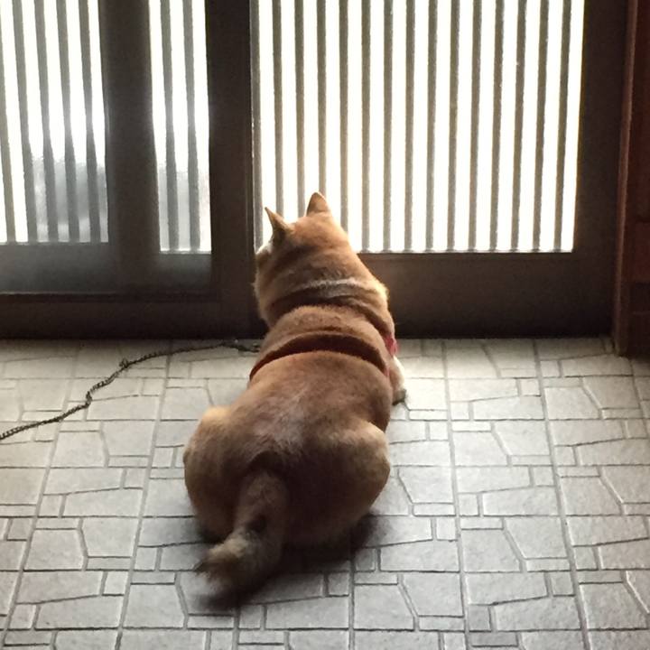 E3f2235c edb4 45de 95f0 ee0efef6f172