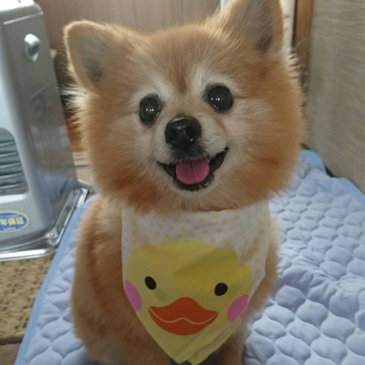 E3f37827 5cc4 40ea 97e3 436a10820f8c