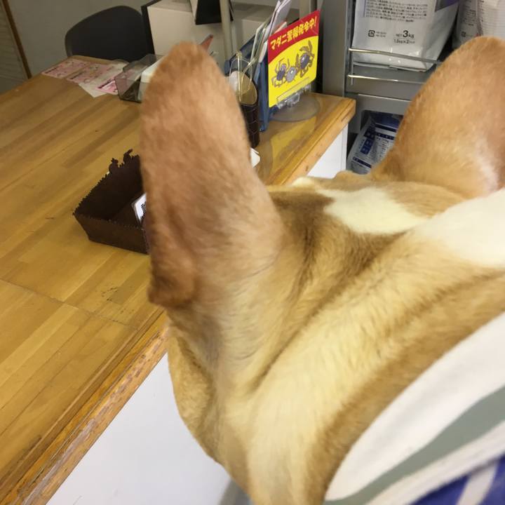 E3f3f883 944a 4942 8302 02e93bb0ffbc