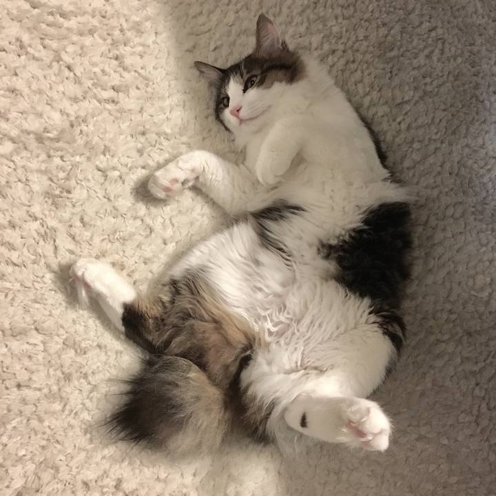 E3f423ca c5c4 4059 9ea6 668d95287198