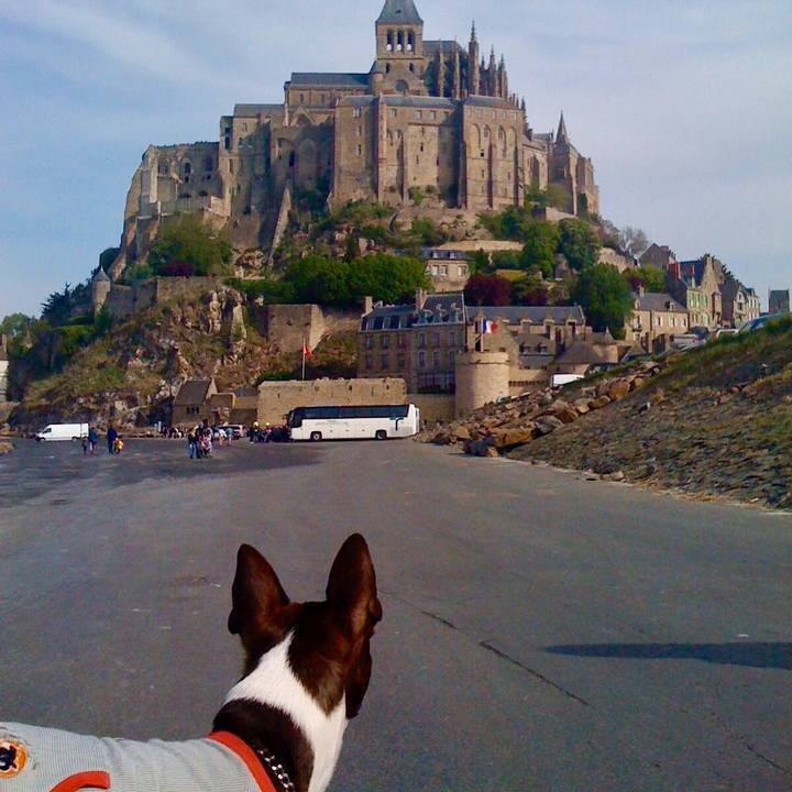 E3f47f62 13c7 47d9 8fa0 0f93fb6d563e