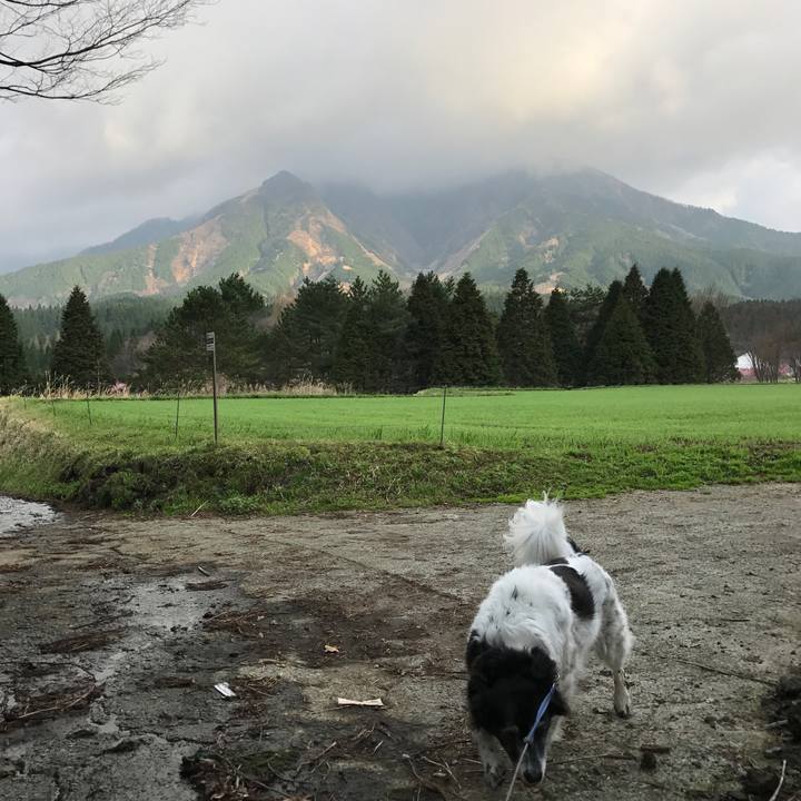 E3f48b05 1e4c 44a4 9c1d 130d55c30e9e