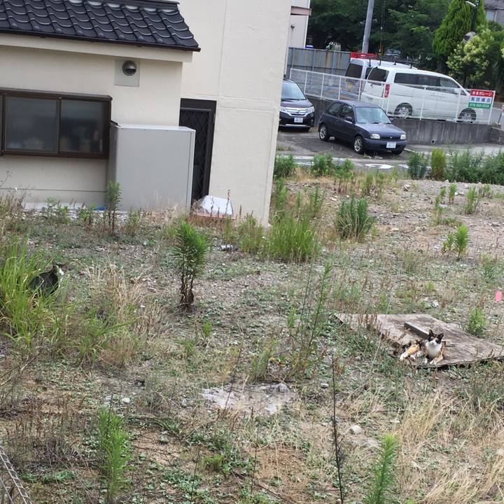 E3f49374 1d41 4ef9 9be4 8f1c95692409