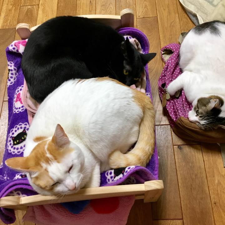 E3f4d9b8 7758 40a8 86cf 106708a3a696