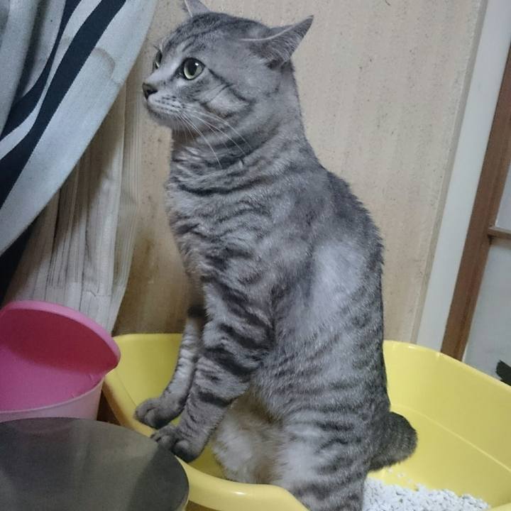 E3f4eb76 7d4a 4907 8385 d59993b311e7