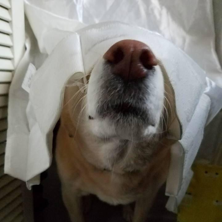 E3f57816 fbee 4d39 a5e2 6d6393675685