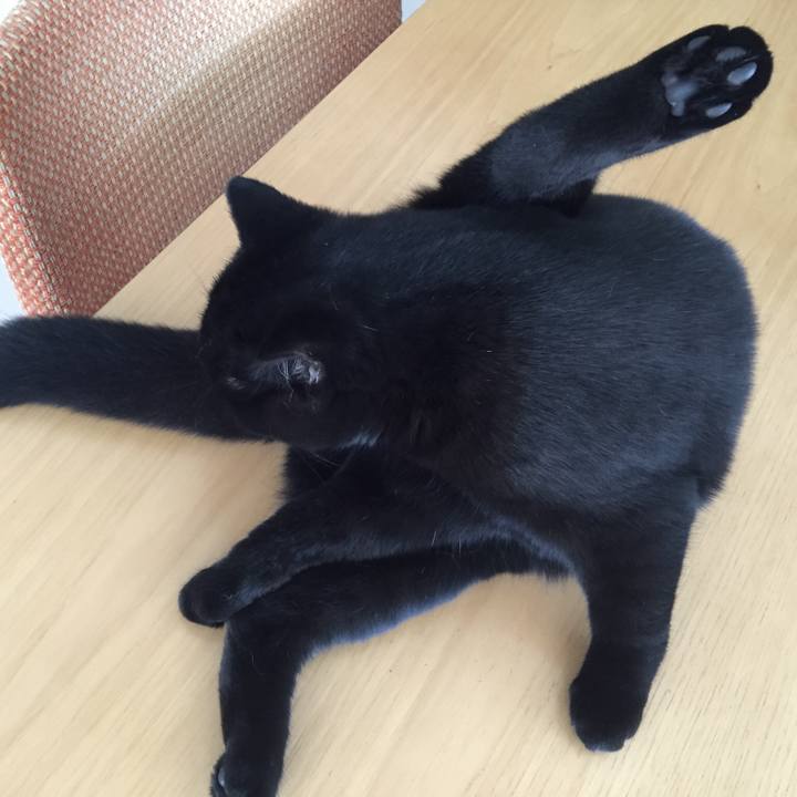 E3f59800 80b6 4719 9f93 8fcf23488764