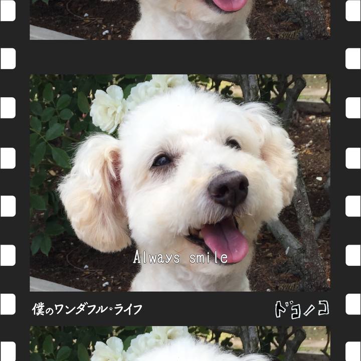 E3f6135a 23c1 4212 8e2b 45e5156fd32d