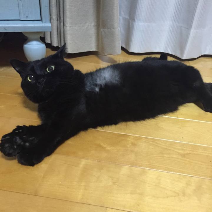 E3f620a9 533d 4661 b6cc a7585e6b015c