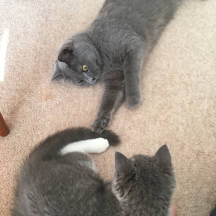 E3f63d66 859d 42e3 b0a3 08f844ea92ff