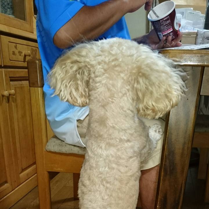 E3f66fc5 9ad4 4cf6 8088 acc3c062e898