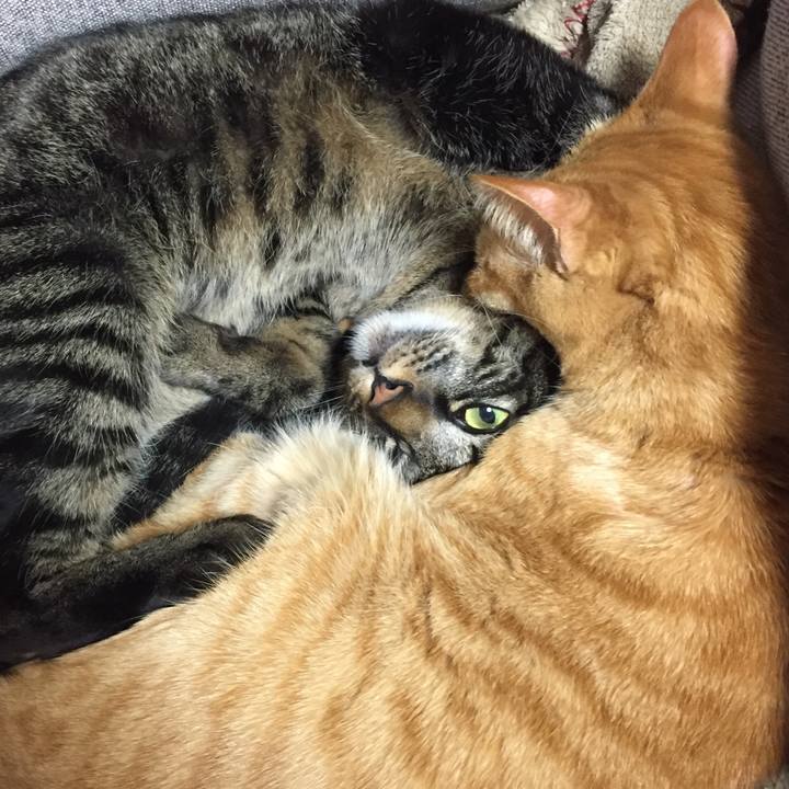 E3f729a5 f36a 45d8 9ba9 bd61d08a9441