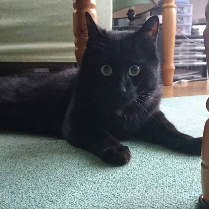 E3f7bb63 7d9f 489e b0ac a3cef9cafd2d