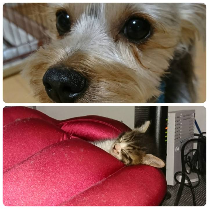 E3f7e2fa e597 4d83 8c18 e4898f98d2d2