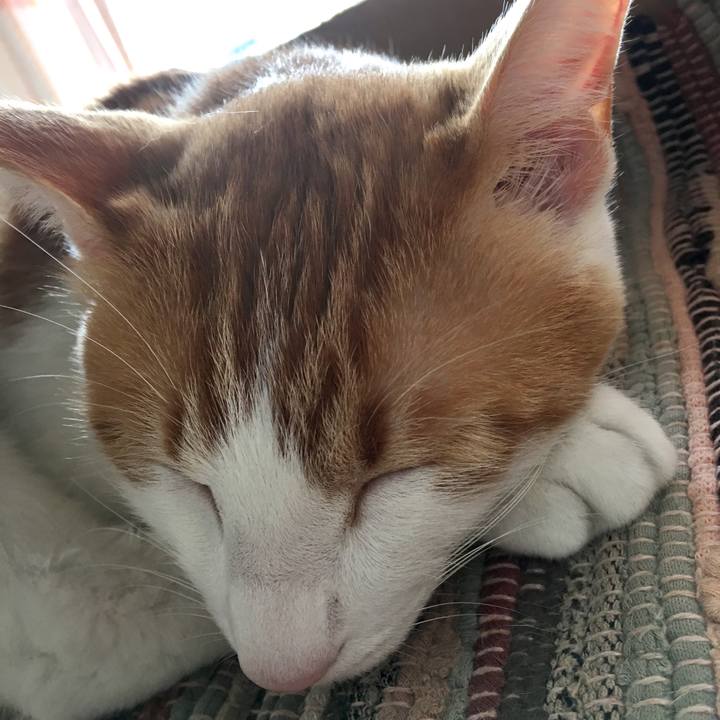 E3f8721a f644 46cb a5d1 fdd8917d0401