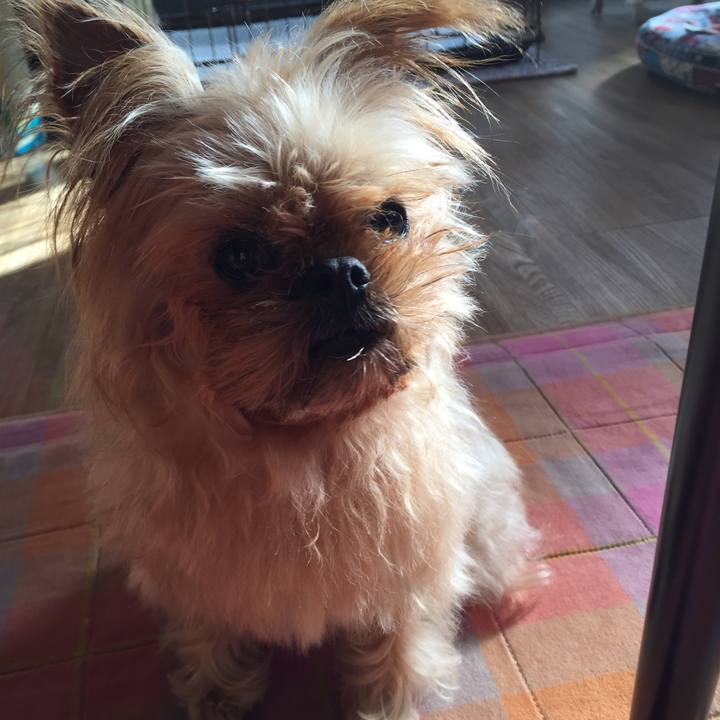 E3f8b81f c346 4ed2 8f1a 5425eaf5a50e