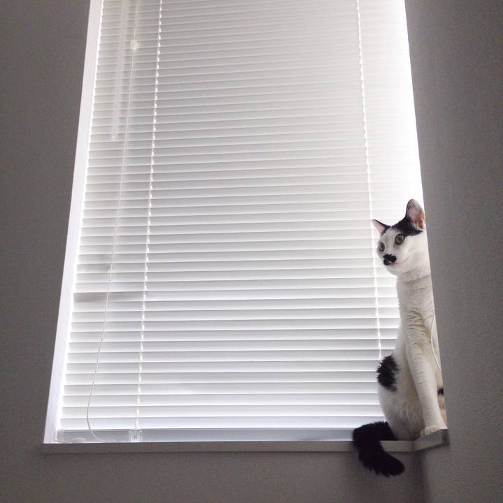 E3f8ff8d 63c4 4b60 9235 ba84794bbfd8