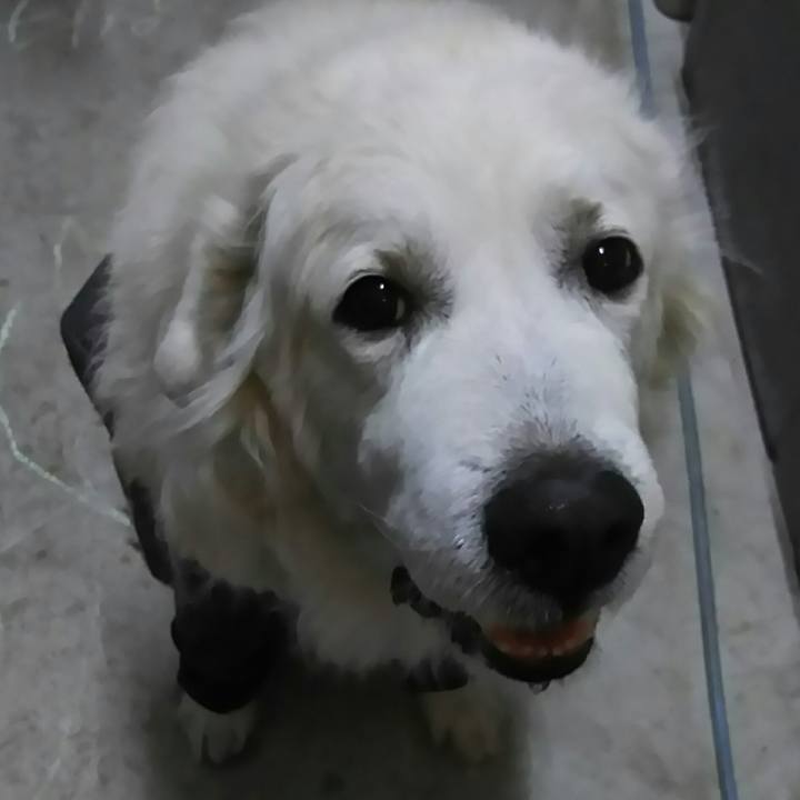 E3f9011c b743 44e5 8a1b 7dfed4973926