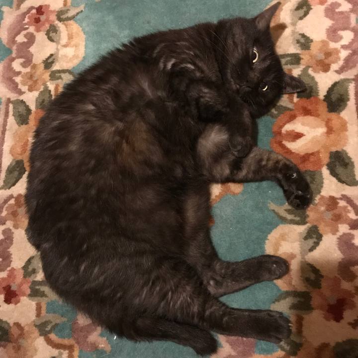 E3f91375 e812 4e64 9963 03e71703b1f8