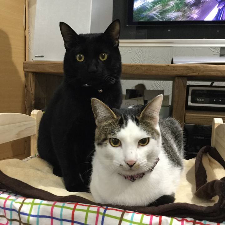 E3f979e9 c23a 4ea4 8037 fefcdde89c73