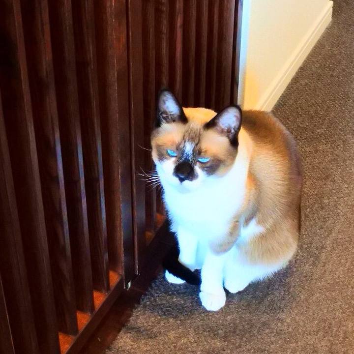 E3fa580f e3bd 4e98 9610 8e48bace4f1c