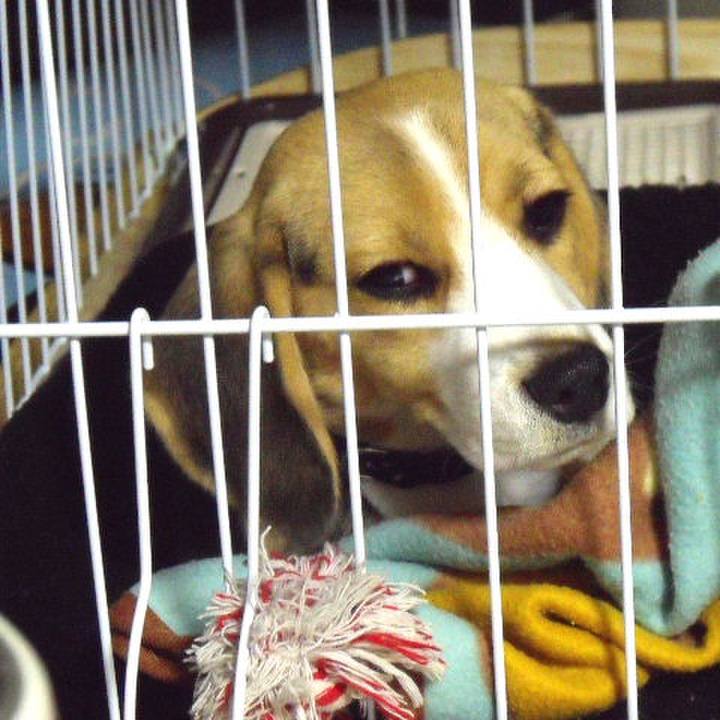 E3fad365 ca0b 47e4 a054 576eb8c3f29f