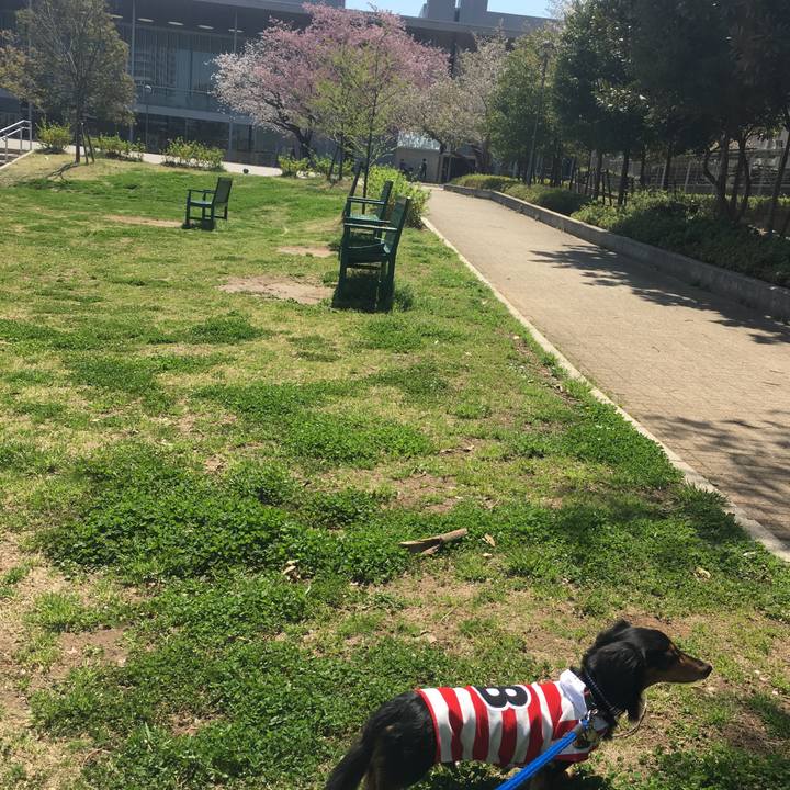 E3fb2360 093b 4074 804d 2aa7094e9d89