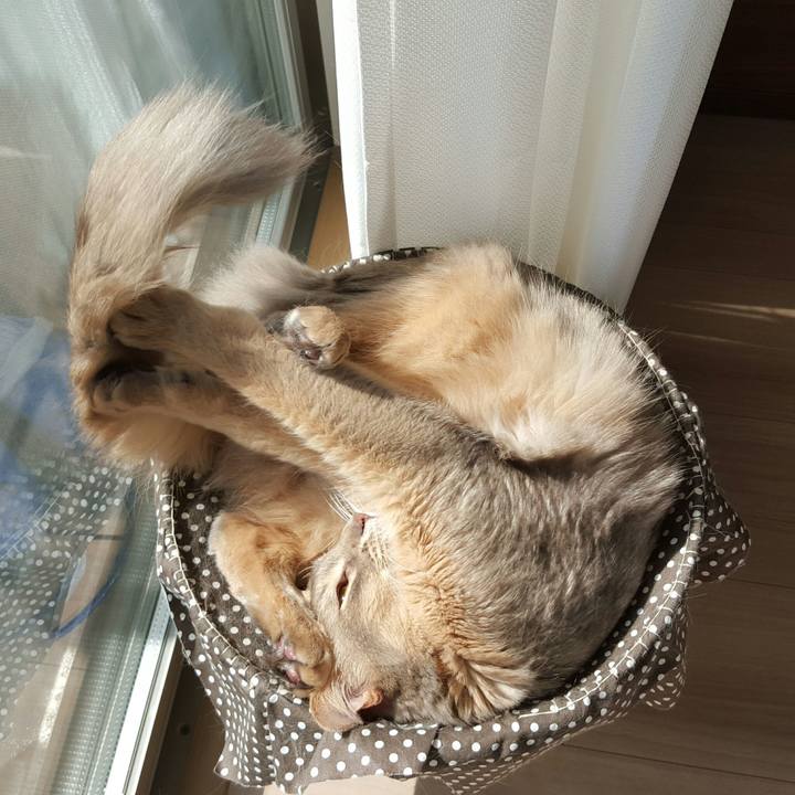 E3fb24ba 8ced 467e 8a8d b753feb74908