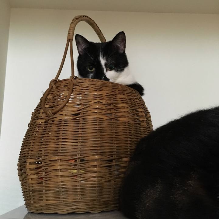 E3fb51dc 5b83 4159 9ad6 90a716c322ae