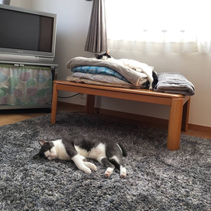 E3fb5e20 115f 44f3 843e d8e7f4282c2f