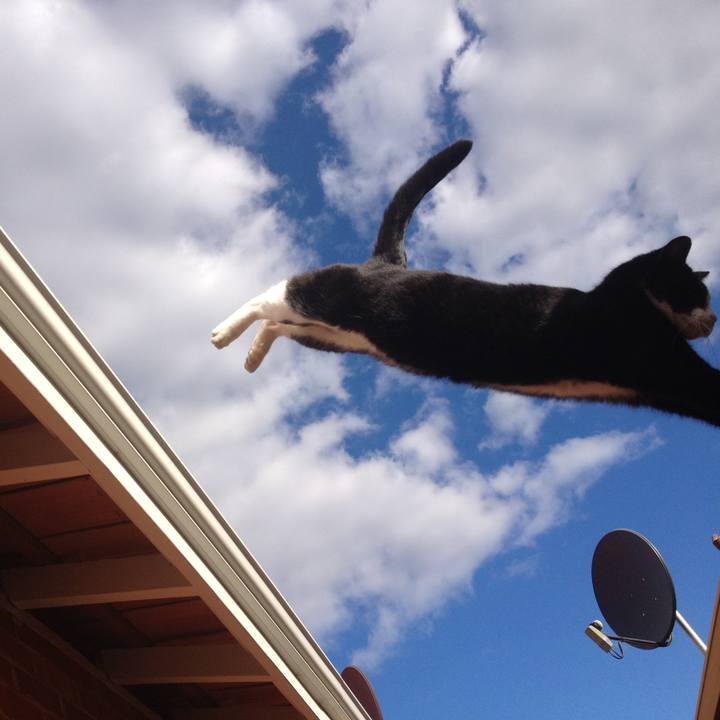 E3fccb5a b8fd 46f5 bdac 5d691b78afad