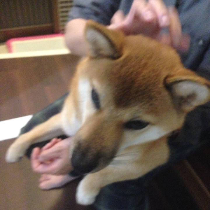 E3fd4962 09c5 4abb ba35 97205e8d916a