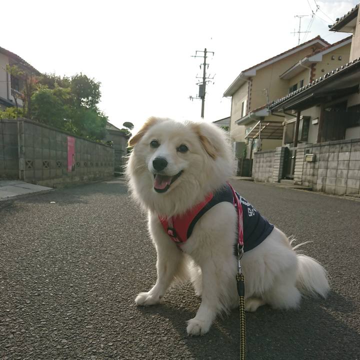 E3fd744c e365 4131 b226 68cbedc987b1