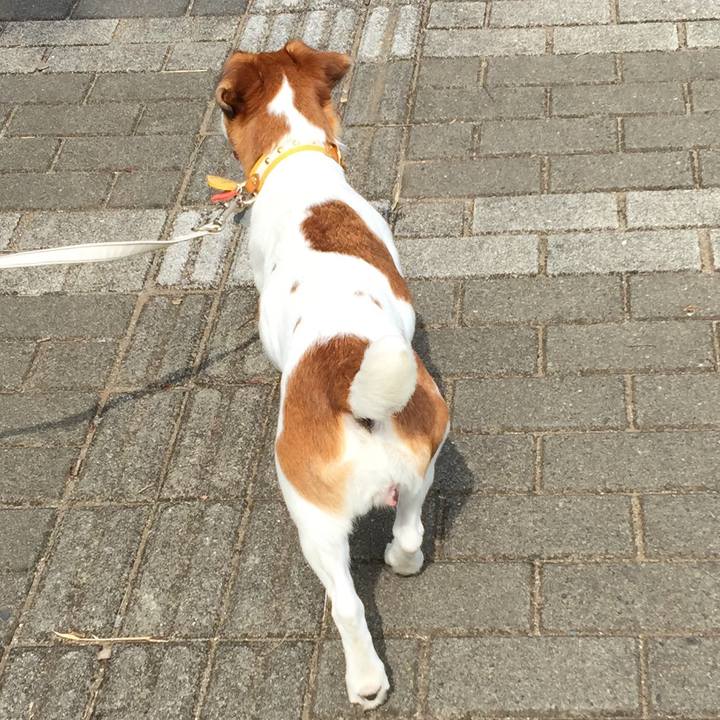 E3fe4353 7c88 48b4 b451 708f11a01c75