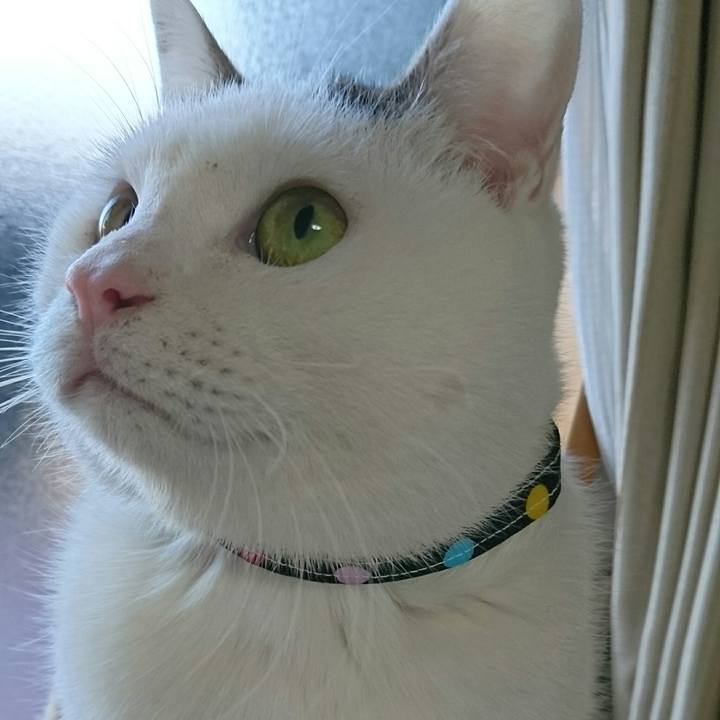 E400f3f2 30e5 486c b6f0 69ed2700b722