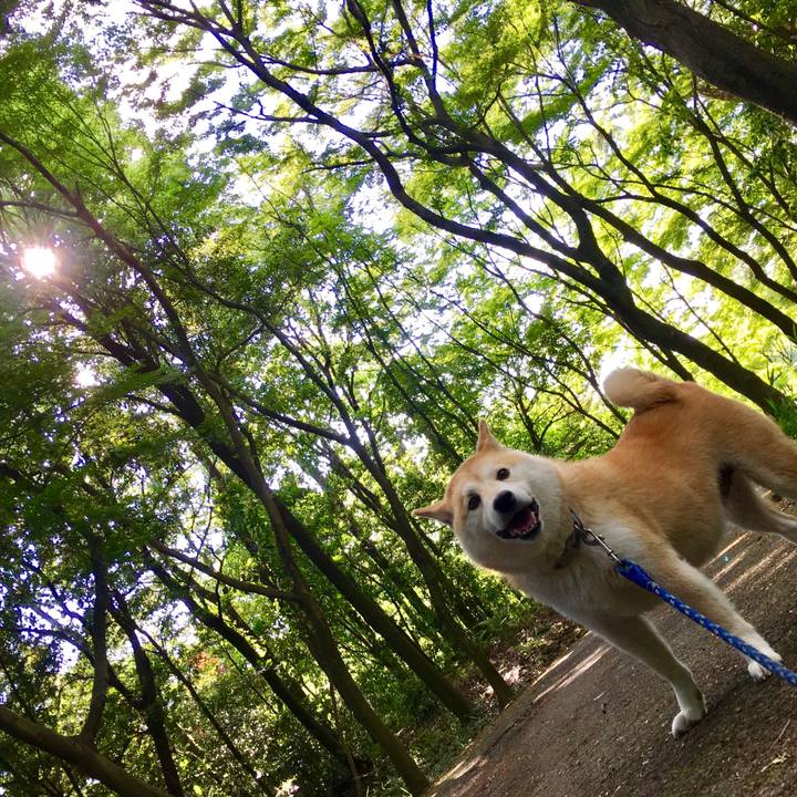 E40191a4 8217 4a94 bbed 108836a766f8