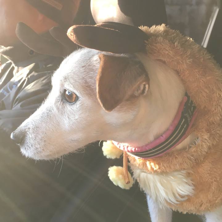 E40224dc da96 4413 b62d 945d1bb1af49