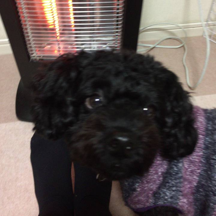 E4023170 b770 4233 a03a abe235c660bf