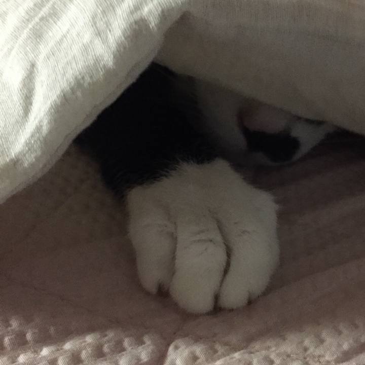 E402f808 1877 42b1 8b10 7efe05cfc0a6