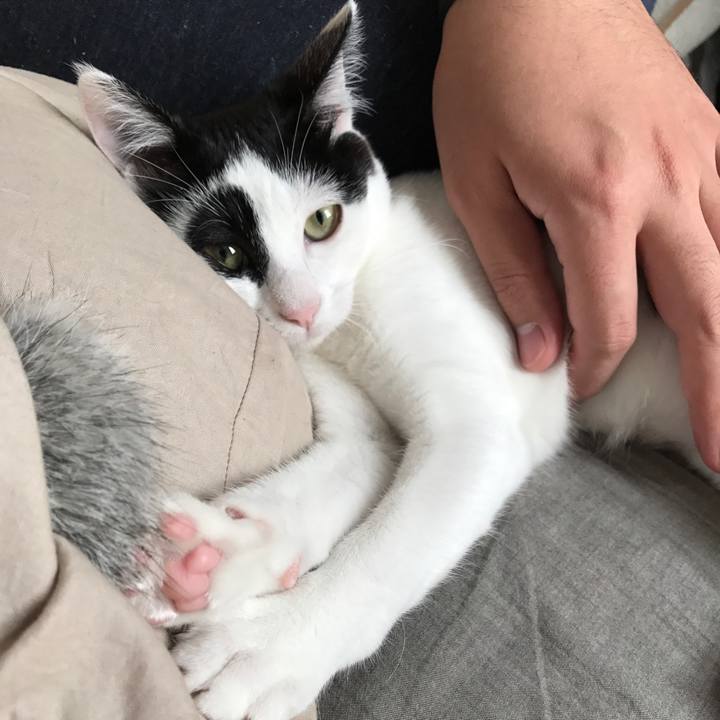 E4040f38 dbe9 4591 8788 42b97fd2a821