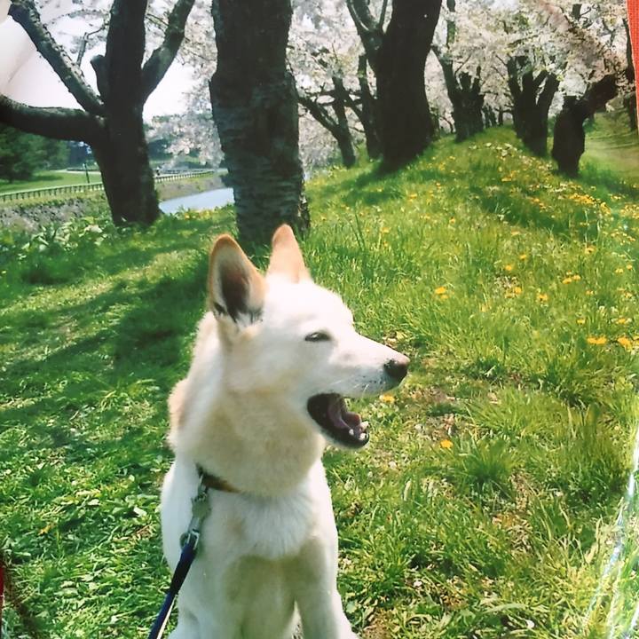 E404714a b897 4e7f a827 2f0520c101e0