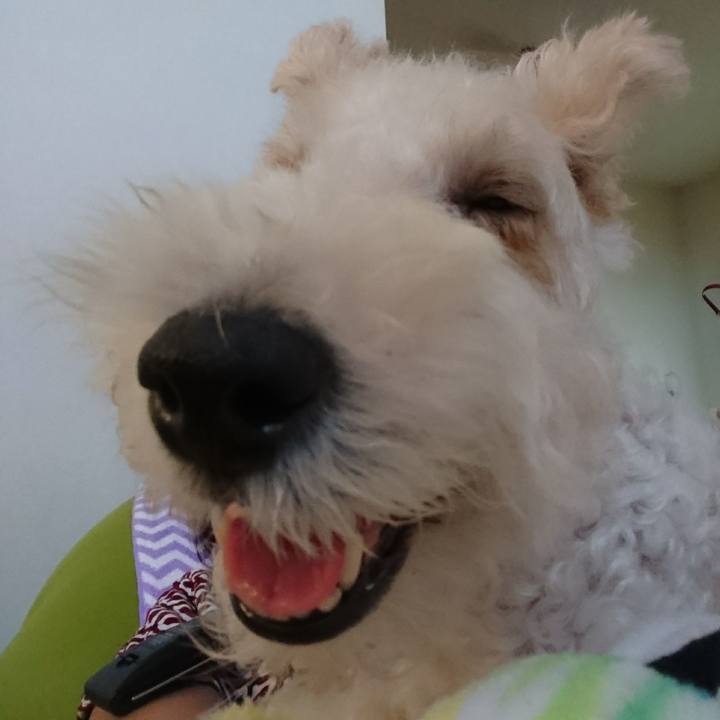 E405254b f039 4077 a397 d55f0edaecd5