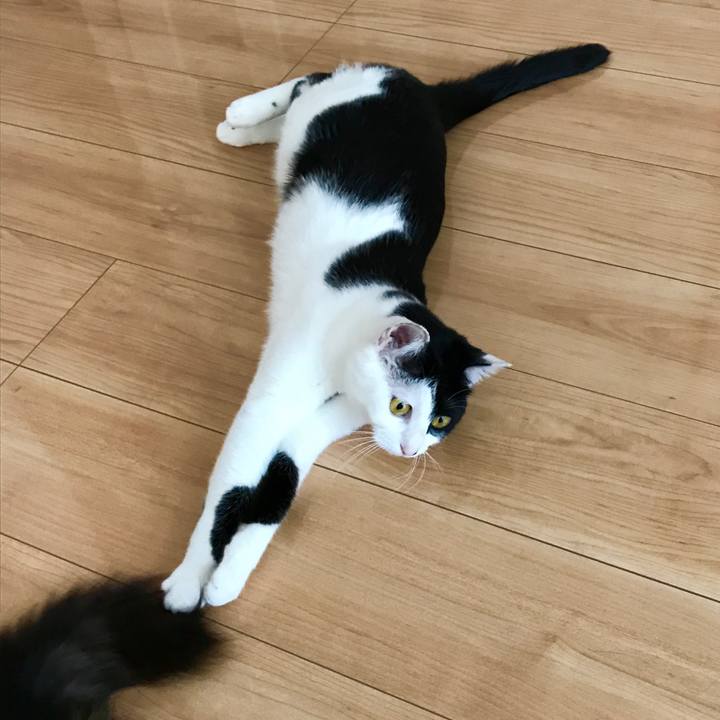 E405825b 38a4 426e 8801 a7ee8c9ed58d