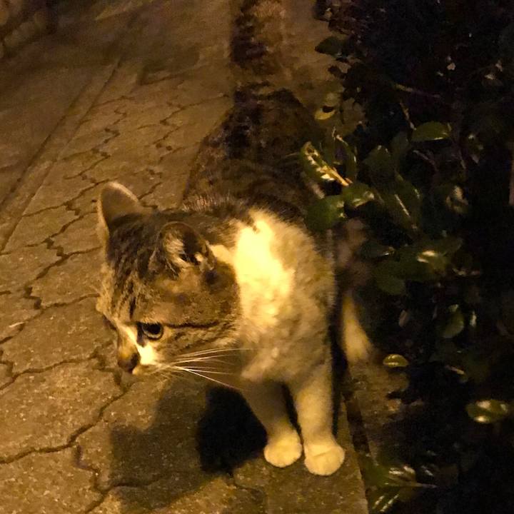 E405de48 718a 45c4 b541 8b242362dd19