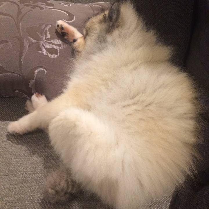 E40604c9 7950 4dc7 88e6 ed50bfc960fe