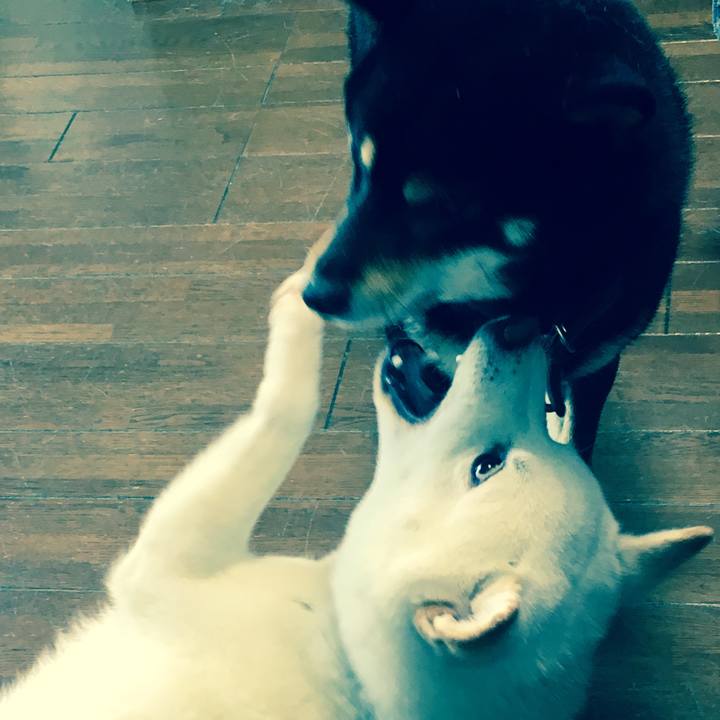 E40758fa ac3b 4f4b 8c26 9b7190c896ef