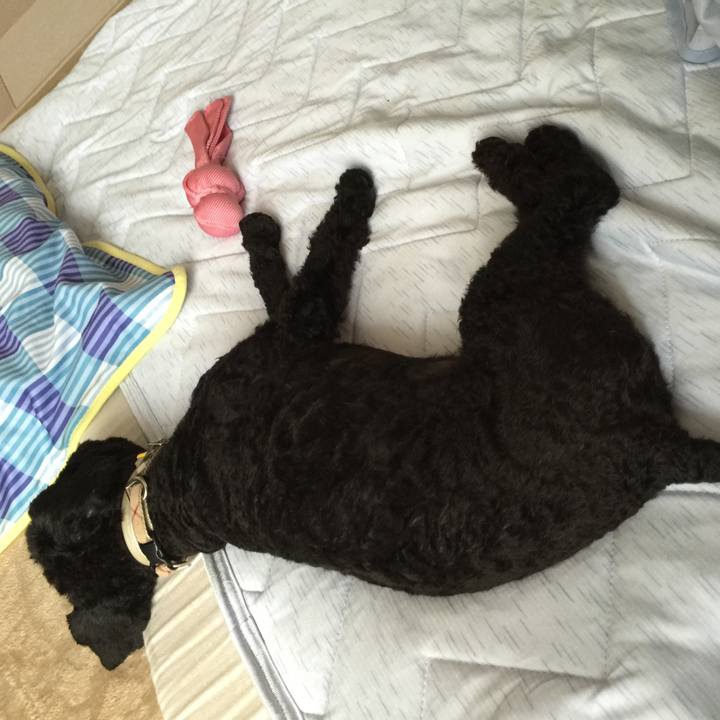 E40827b9 0730 40b5 9ce7 93979f4cb99f