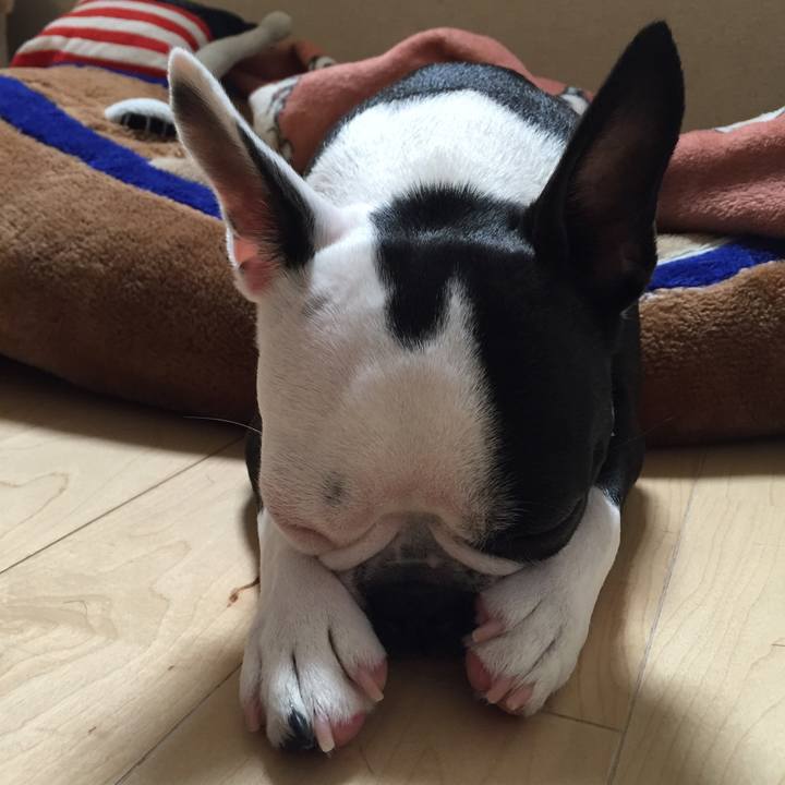 E40841a9 ff6b 4a5e 86f2 c113d8742714